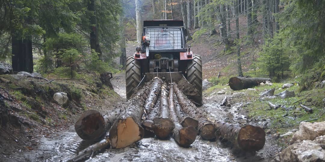 Forest Harvesting Heavy Equipment Operator Training